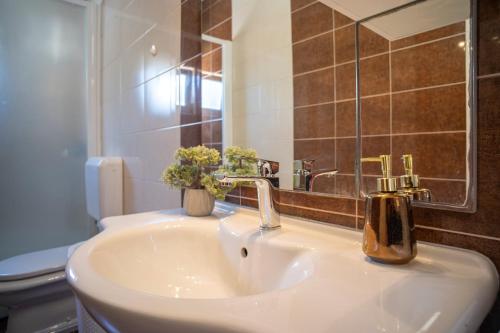 a bathroom with a sink and a mirror and a toilet at Apartment Fortuna in Trpanj