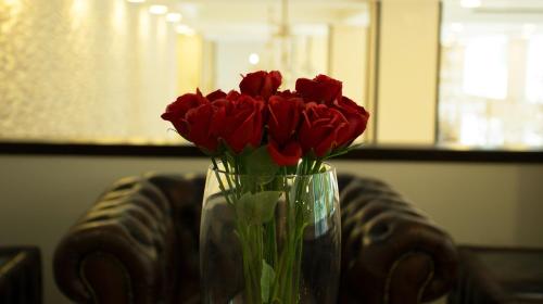 a vase filled with red roses sitting on a table at GHS Hotel in Brazzaville