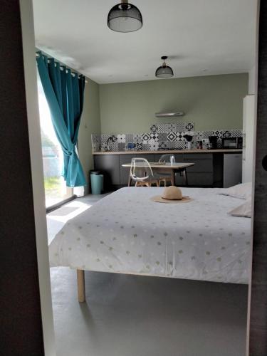 Charmant Studio climatisé proche Rivière ,Voie verte, Marché