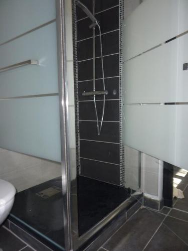 La salle de bains est pourvue d'une douche en verre et de toilettes. dans l'établissement Appartement front de mer Biarritz, à Biarritz