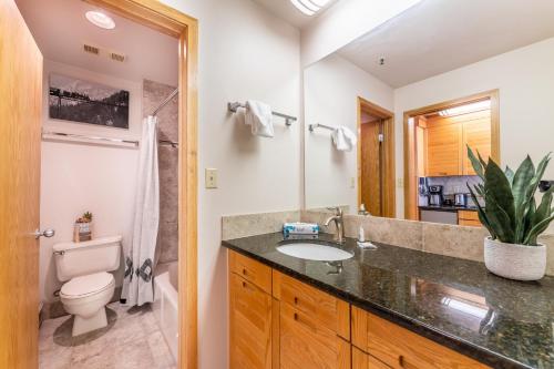 un bagno con lavandino e WC di Slopeside #2775 by Summit County Mountain Retreats a Keystone