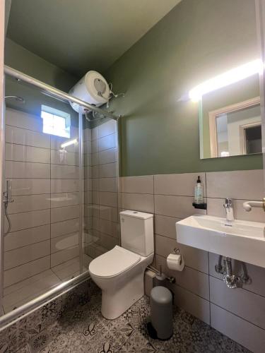 a bathroom with a toilet and a shower and a sink at Annabell Houses & Rooms Raches in Paralia Rachon