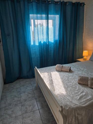 Lily's house near the beach