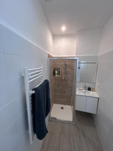 La petite salle de bains est pourvue d'une douche et d'un lavabo. dans l'établissement Appart tout confort, à Marseille