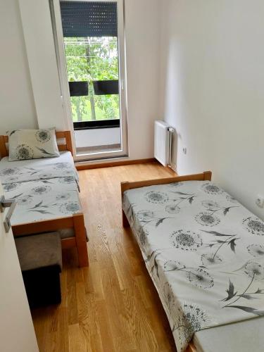 a room with two twin beds and a window at Safari Apartment in Petrovaradin