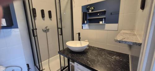 a bathroom with a sink and a shower at Mieszkanie Borneo in Borne Sulinowo
