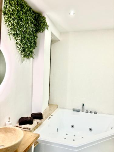 La salle de bains est pourvue d'une baignoire avec une plante sur le mur. dans l'établissement cinéma & balnéo privatifs, à Montfrin