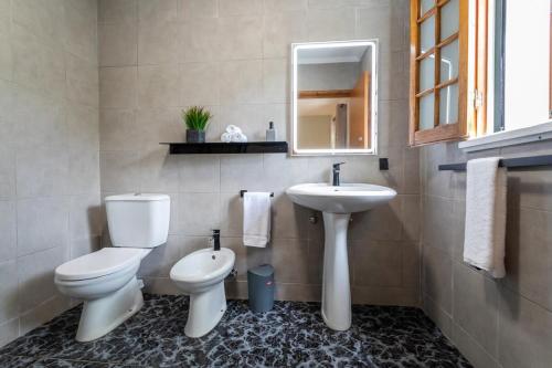 a bathroom with a toilet and a sink at The Chestnut Garden - Farm House in Fenais da Luz