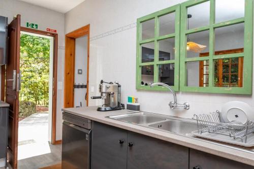 a kitchen with a stainless steel sink and green cabinets at The Chestnut Garden - Farm House in Fenais da Luz