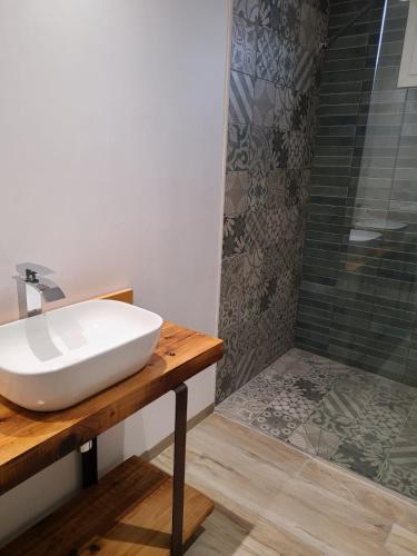 une salle de bain avec un lavabo et une douche dans l'établissement Gîte Lou Galoubet, à Saint-Étienne-du-Grès
