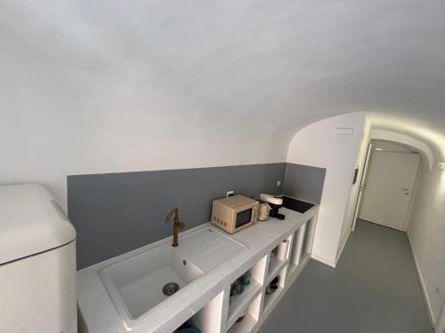 White Dome Retriet photo 4