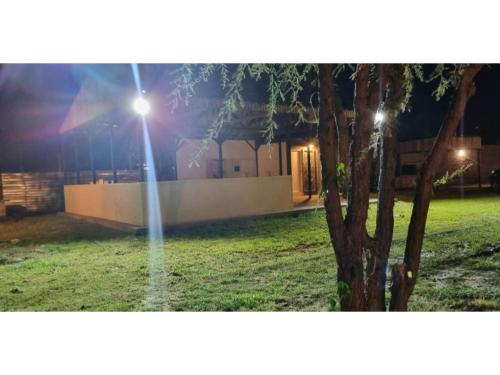 a street light next to a tree at night at Casa en Zonda in Zonda