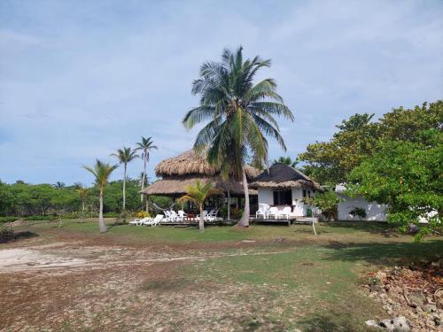 a house with a palm tree in front of it at Cabaña ecológica frente al mar en isla fuerte in Isla Fuerte