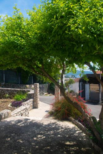 a tree in front of a building with a sidewalk at Apartmani Radman 1 - Igalo in Igalo