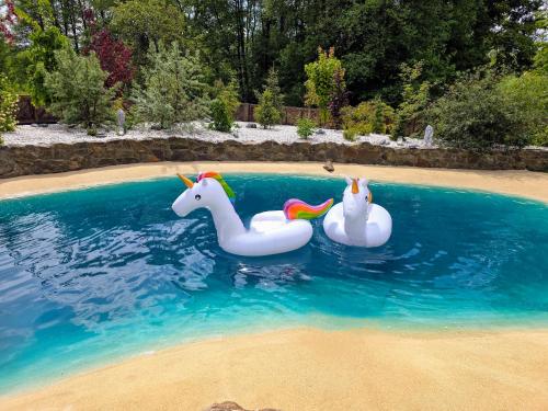 two inflatable plastic horses in a swimming pool at Nature rezidence private wellness in Zahorčice