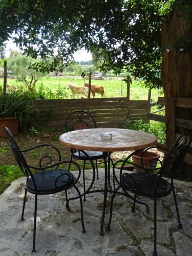 a table and chairs with horses in a field at Camera D'Ambra in Campiglia Marittima