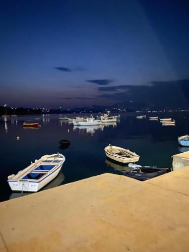 a group of boats are docked in a harbor at Beautiful views, convenient location at Eleni's in Koroni
