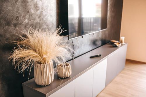 Fotografie z fotogalerie ubytování Apartmány DVĚ BOBULE 1 kk v destinaci Pasohlávky