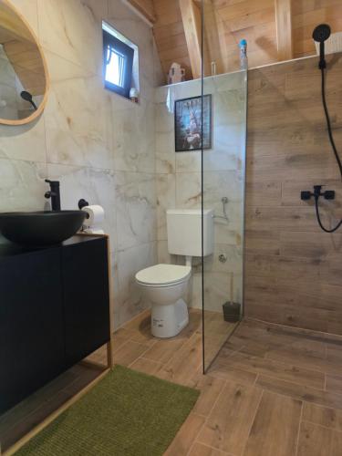 a bathroom with a toilet and a glass shower at Villa Tea in Šipovo
