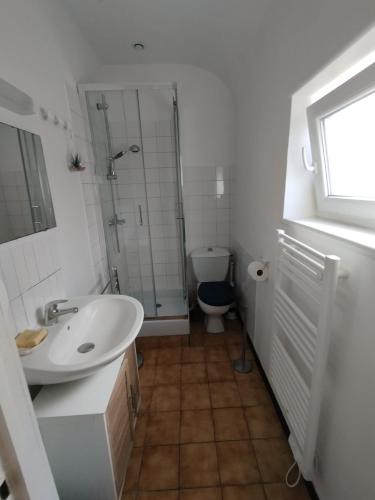 une salle de bain avec un lavabo, une douche et des toilettes dans l'établissement Coeur de St Pol Les mouettes, à Saint-Pol-de-Léon
