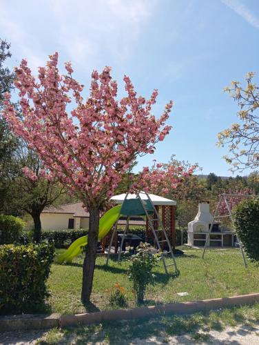 a tree with pink flowers in a yard at Casa Vacanze Mily in Scheggia e Pascelupo