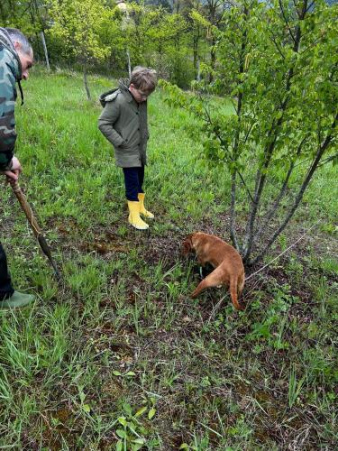 a woman standing next to a dog in the grass at Casa Vacanze Mily in Scheggia e Pascelupo