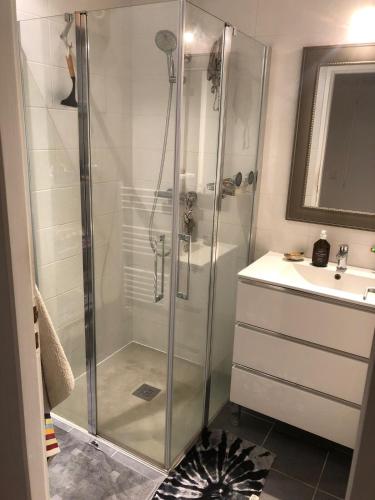 a bathroom with a shower and a sink at Surf, Skate, Golf house Seignosse in Seignosse
