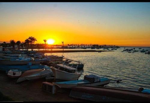 a group of boats docked on a beach at sunset at Sea Life Apartments-hotel in Hurghada
