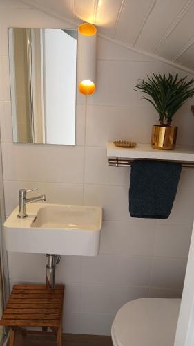 une salle de bain avec un lavabo et un miroir et des toilettes dans l'établissement Splendide vue mer studio, à Perros-Guirec