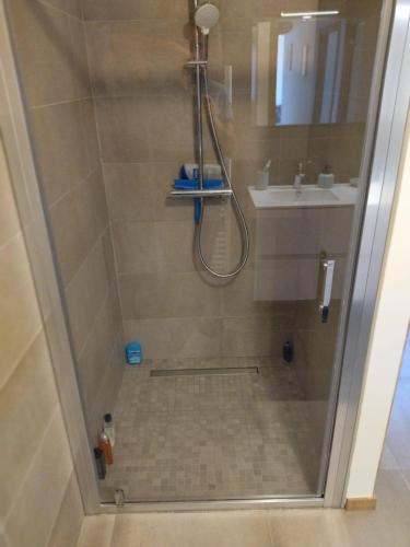 une salle de bain avec douche et lavabo dans l'établissement Porticcio - appartement T3, à Albitreccia