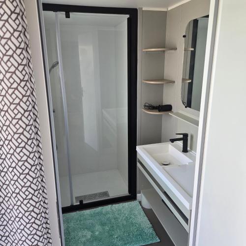 une salle de bain avec une douche, un lavabo et un miroir dans l'établissement Mobil-home les pieds dans l'eau camping les dunes, à Torreilles
