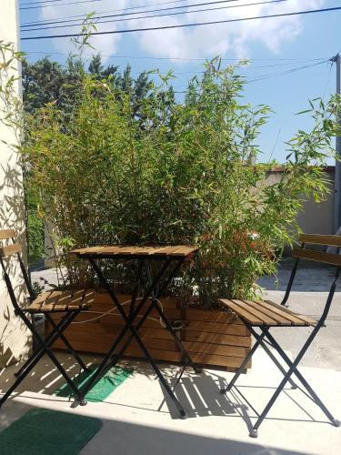 Photo de la galerie de l'établissement Plan de cuques studio au calme, à Marseille