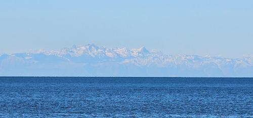 Gallery image of Kadenca in Umag