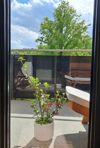 Κήπος έξω από το Apartmán Vitalis - Rezidencia Amélia