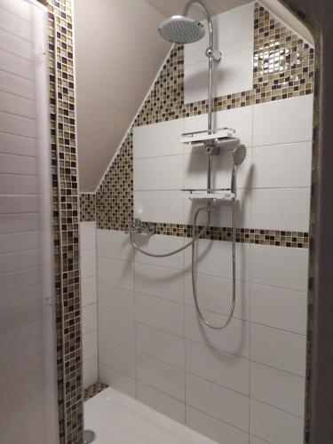 Salle de bains dans l'établissement Ferienwohnung 'Frühauf' im Südharz OT Uftrungen
