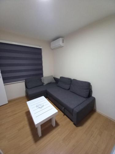 a living room with a couch and a table at Apartman Peki in Bajina Bašta