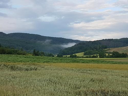 Paysage naturel près de l'appartement
