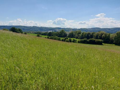 Paysage naturel près de l'appartement