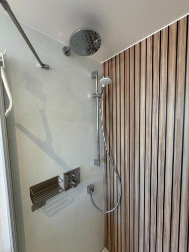 a shower in a bathroom with a wooden wall at Die 5 Ferienwohnungen der Familie Weber in Fehmarn