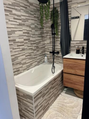 une salle de bain avec une baignoire et un lavabo dans l'établissement Appartement 6 personnes, à Sète