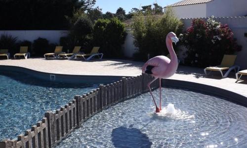 un flamingo est debout dans l'eau d'une piscine dans l'établissement Camping Oléron St-Tro'Park, à Saint-Trojan-les-Bains