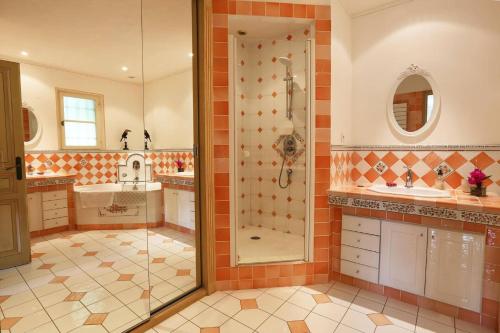 une salle de bain avec douche et lavabo dans l'établissement Villa Jas Fontaine by Villa Plus, à Lorgues