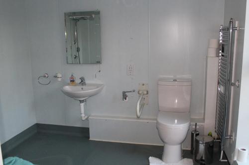 a bathroom with a sink and a toilet and a bath tub at B&B The Pippins in Sandy