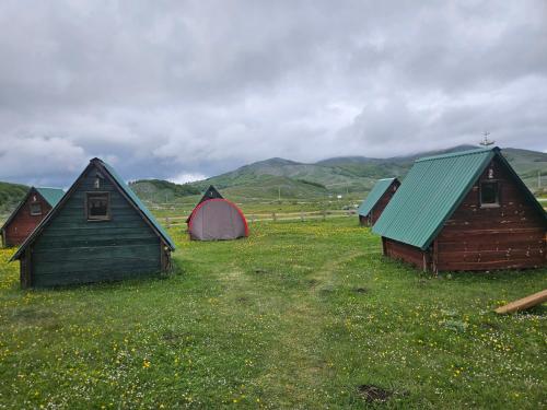 a group of houses and a tent in a field at Guest House Ethno Village Milogora in Pluzine