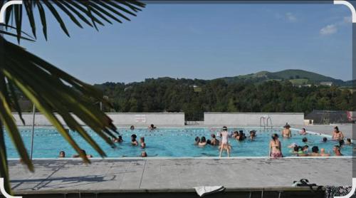 un groupe de personnes dans une piscine dans l'établissement Vacances dans belle béarnaise, à Lanne-en-Barétous 