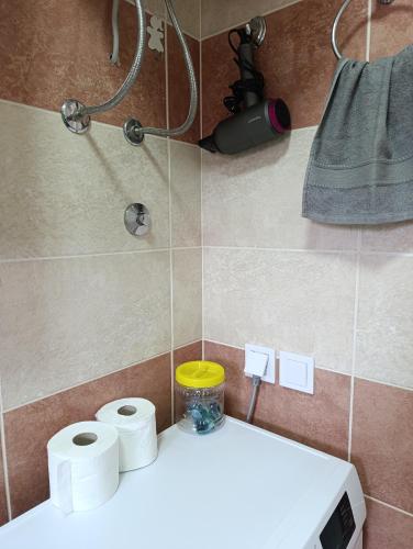 a bathroom with toilet paper and a toaster at Sayohat Apartments in Dobra Voda