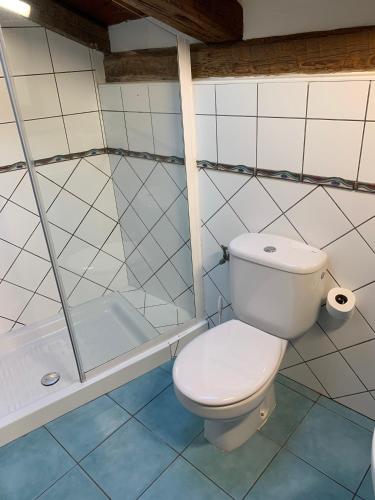 a bathroom with a toilet and a shower at Argonz Etxea in Urzainqui