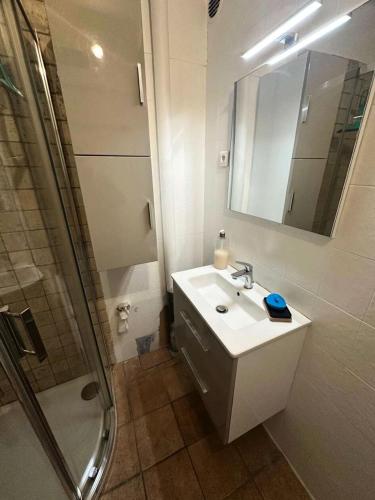 une salle de bain avec un lavabo et une douche dans l'établissement Résidence La Plage La Maisonnette - Joli T2 avec jardin avec un accès direct a la mer MAE-1923, aux Lecques