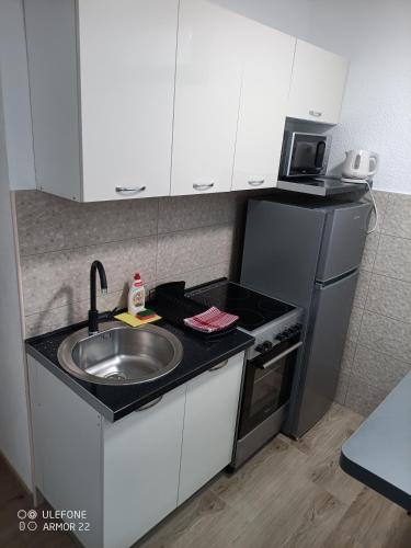 a small kitchen with a sink and a refrigerator at Apartmani Gaga in Tivat