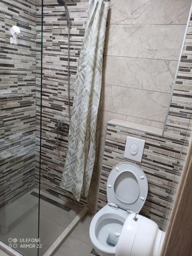 a bathroom with a toilet and a shower at Apartmani Gaga in Tivat